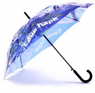 Digital Printing Fiberglass Ribs Umbrella With Rubber Coated Plastic Handle